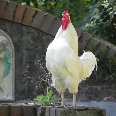 Апартаменты Siloblick Амштеттен