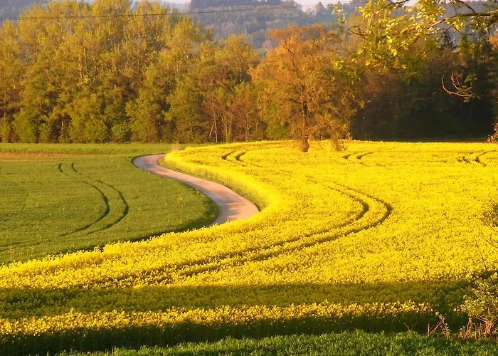 Siloblick Appartement