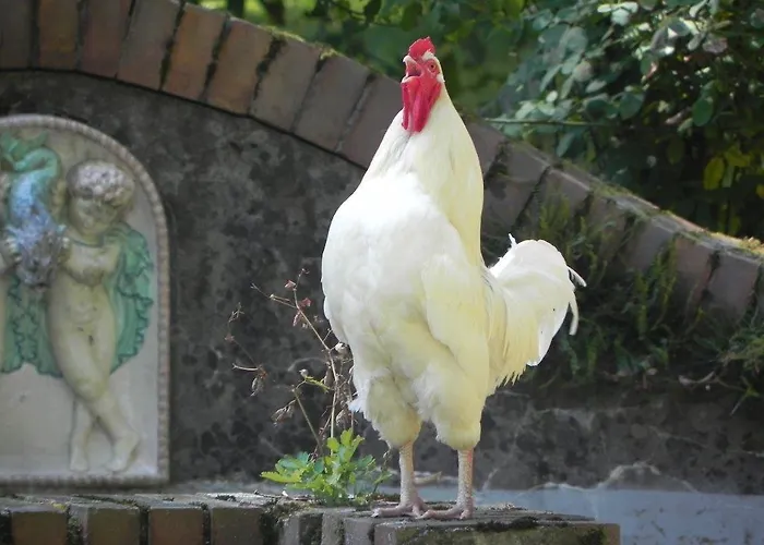 Apartamento Siloblick Amstetten